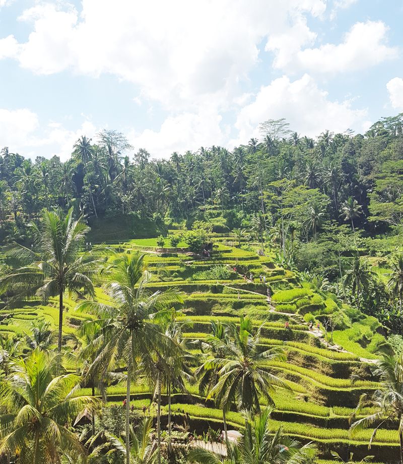 Chia sẻ kinh nghiệm du lịch bụi Bali - hình 32