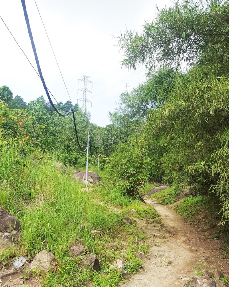 Hướng dẫn leo núi Chứa Chan dễ nhất đi đường ngắn nhất hình 4