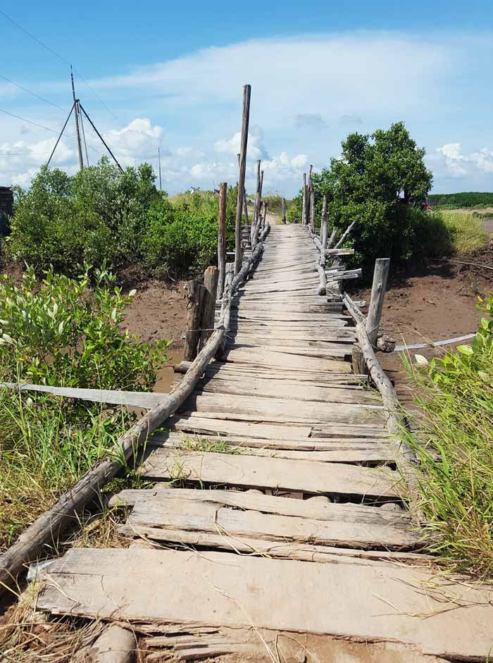 Khám phá 9 cửa sông của hệ thống sông Cửu Long 15 - Cây cầu gỗ