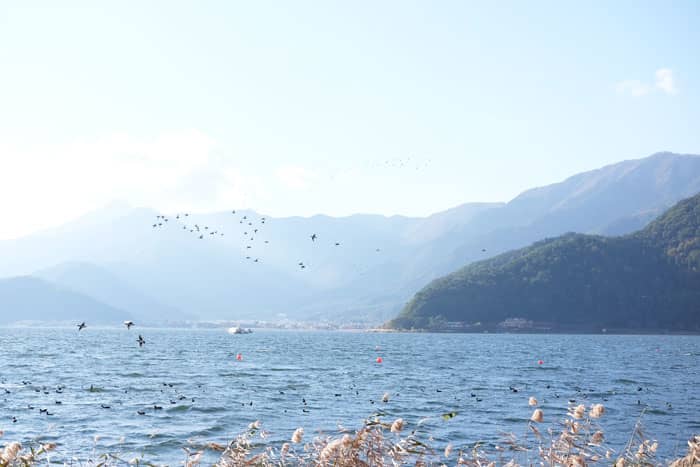 Hồ Kawaguchi Lake